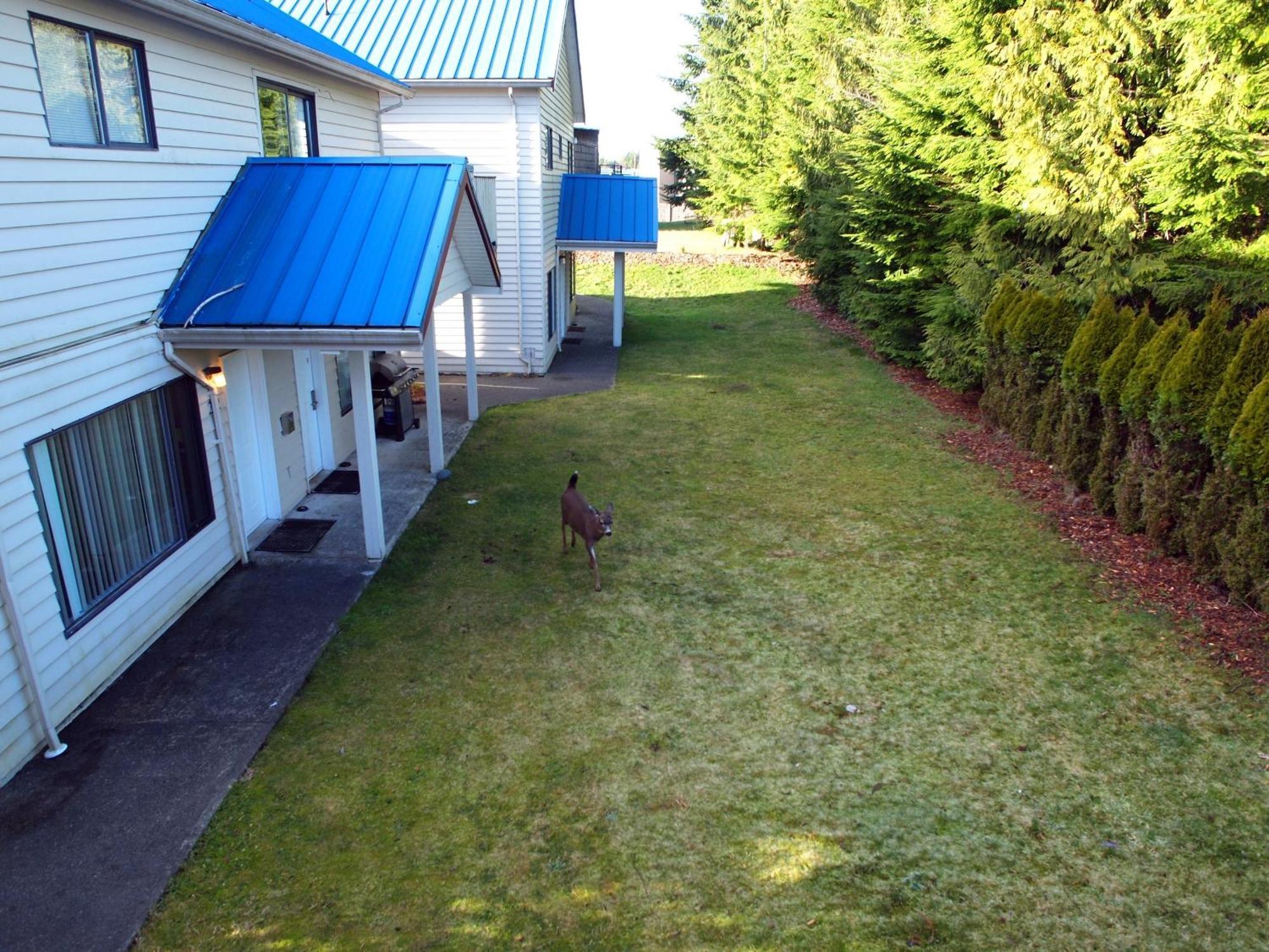 Whale's Tail Guest Suites Ucluelet Extérieur photo